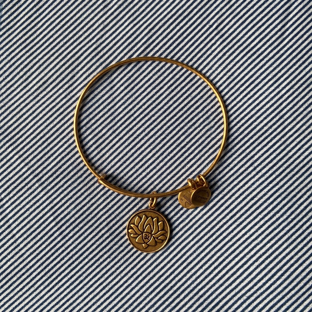 ALEX & ANI bracelet